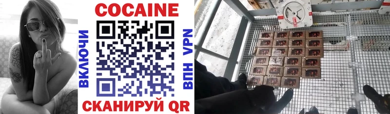 COCAIN FishScale  Купить где  Магадан 