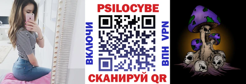Купить закладки  Магадан  Псилоцибиновые грибы Psilocybe 